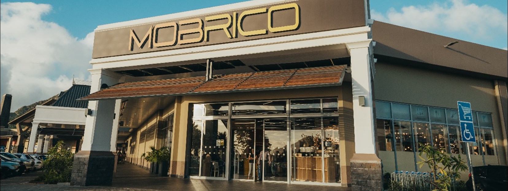 Mobrico: Your New Go-to Store for Renovation and Construction in Mauritius