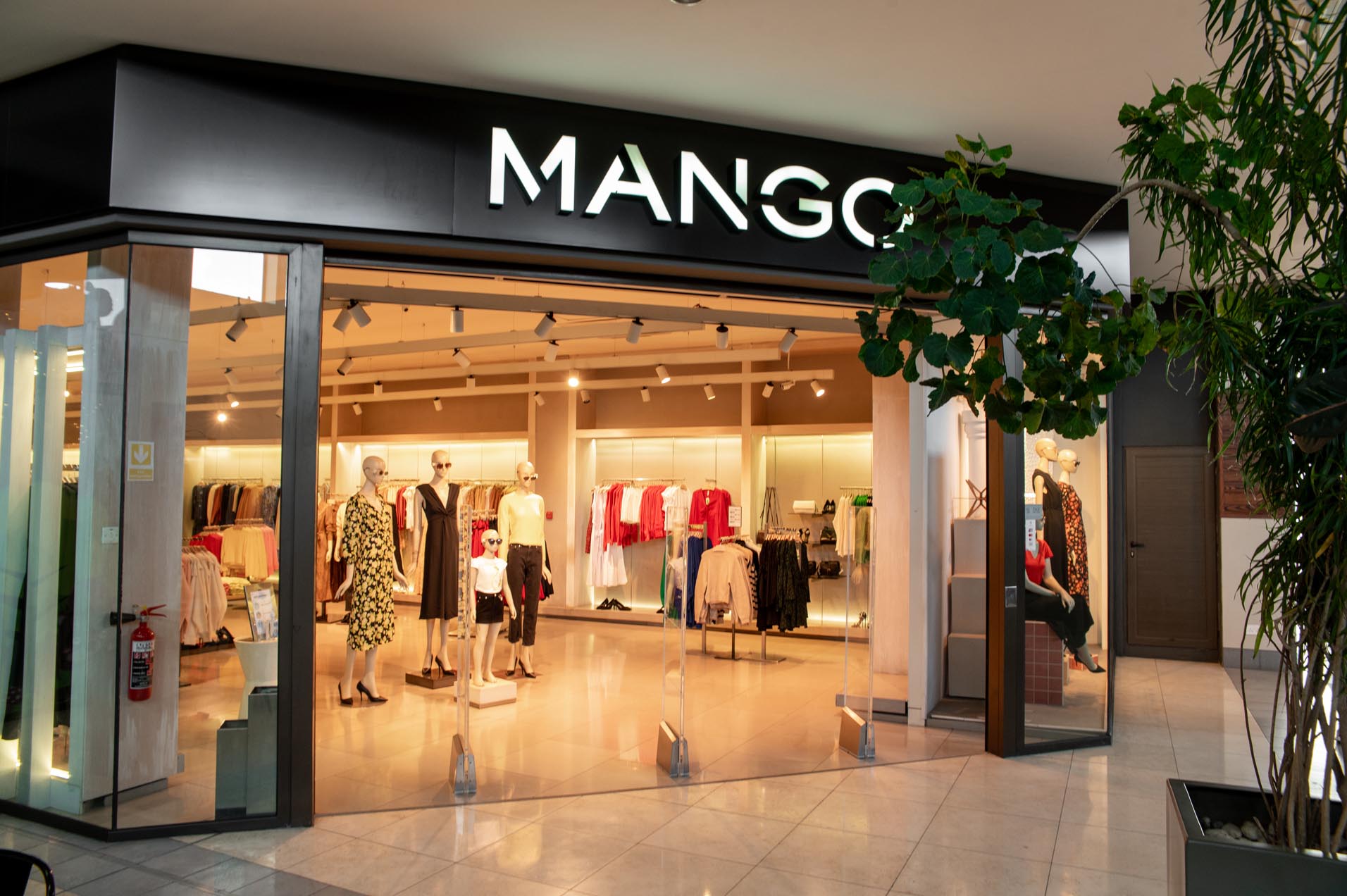 Mango Ascencia Malls